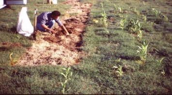 16 - 01 - Garay - foto