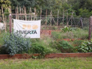 Lanzamiento de proyectos Especiales Prohuerta 2019