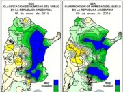 El maíz resiste los excesos y podría alcanzar un nuevo récord productivo