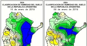 El maíz resiste los excesos y podría alcanzar un nuevo récord productivo