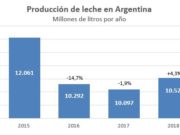 En lechería comienza un año con “menos tambos, vacas y precio”