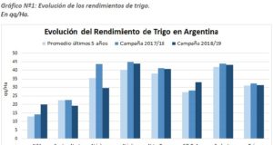 La campaña fina alcanzó una cosecha récord