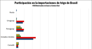 Argentina creció como abastecedor de trigo a Brasil