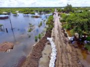 Declararon la emergencia agropecuaria para 4 provincias