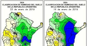 Soja: quedarán 185 mil ha sin cultivarse