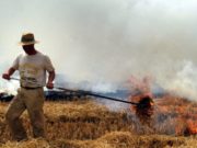 En Dupuy y Pedernera inicia el período de quemas controladas