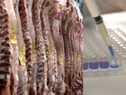Carne in vitro ¿competidor inesperado de la ganadería?