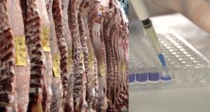 Carne in vitro ¿competidor inesperado de la ganadería?