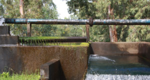 ¿Cuál es la diferencia entre el agua cruda y el agua potable?