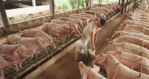 La información, principal aliada para la productividad