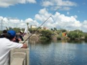 Calendario de pesca 2019: San Luis dio a conocer el nuevo reglamento provincial