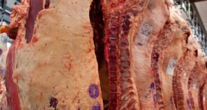 IPCVA: informe mensual de precios minoristas de la carne vacuna