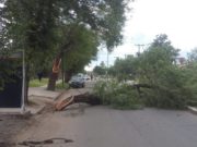 San Luis: conocé cuánto llovió en 52 puntos de la provincia, medidos por la REM