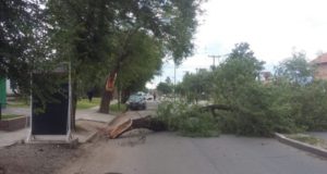 San Luis: conocé cuánto llovió en 52 puntos de la provincia, medidos por la REM