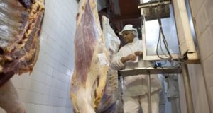 Informe CICCRA: menor actividad frigorífica en diciembre y más participación de las hembras en la faena total