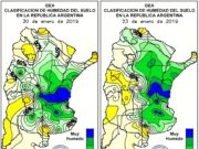 Nuevas pérdidas en soja: 270 mil ha malogradas por los excesos hídricos