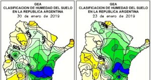Nuevas pérdidas en soja: 270 mil ha malogradas por los excesos hídricos