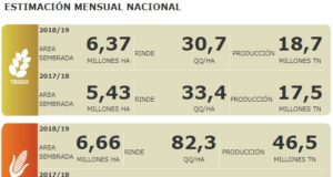 La zona núcleo cosechará un 34% más de soja que el año pasado