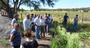 Técnicos de Desarrollo Social recorrieron huertas de la provincia