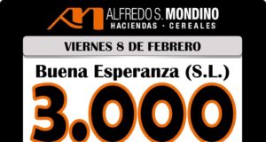Mondino rematará 3000 vacunos en Buena Esperanza
