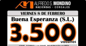 Mondino amplió la oferta para Buena Esperanza