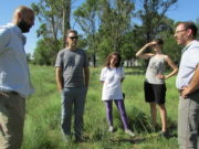 INTA implantará y evaluará al algarrobo y el caldén en San Luis