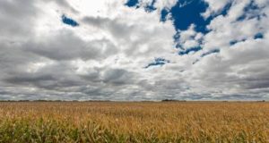 Cargill planifica inversiones en América Latina