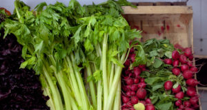 Concurso de soluciones dirigidas a reducir pérdidas y desperdicios en la cadena hortícola argentina