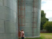 Inhabilitaron a 21 usuarios en procesadoras de granos de Córdoba