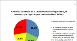 Los feedlots no quieren cambiar el peso mínimo de faena
