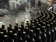Vitivinicultura: el problema no es de dónde sacar la plata para tapar agujeros