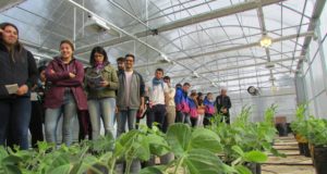 Investigan el nivel de alfabetización ambiental en alumnos universitarios