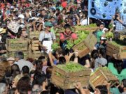Otro verdurazo en plaza de Mayo