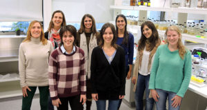 Una «vacuna» inspira formas de proteger cultivos frente a patógenos