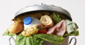 Del campo a la mesa: IBM ayuda a transformar la agricultura y alimentación en Latinoamérica