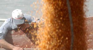 SISA: los productores deben cargar sus datos este mes para la cosecha gruesa