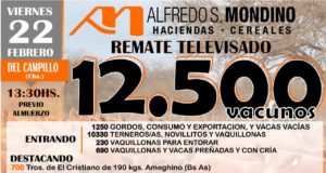 El televisado de Mondino ya suma 12.500 vacunos