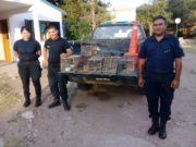 San Luis: la policía logró que diez vecinos entregaran voluntariamente 23 pájaros que tenían cautivos