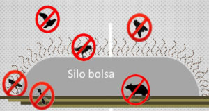 Científicos desarrollan una película para silo bolsa capaz de contener repelente para roedores y aves