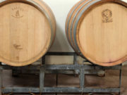 Crianza del vino: secretos del añejamiento