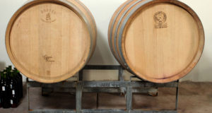 Crianza del vino: secretos del añejamiento