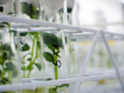 Bioinformática: detectives del código genético