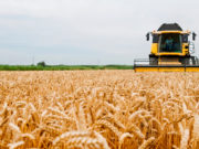 Las miradas sobre la liquidación de divisas del agro