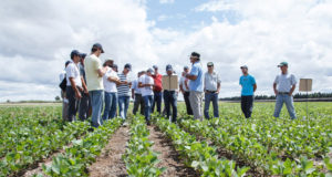 El agronegocio en el eje de análisis de fundaciones alemanas