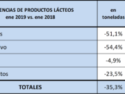 Fuertes bajas en la producción lechera