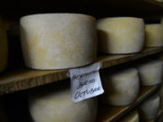 Elaborados artesanales lácteos serán incorporados en el Código Alimentario