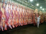 Abren el registro para exportar 15 mil toneladas de carne hacia los EE.UU