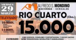 Mondino confirmó 15 mil cabezas para mañana por TV