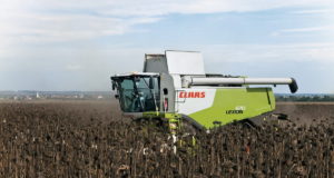 San Luis: avanza la cosecha de girasol con un rinde similar al de las dos últimas campañas