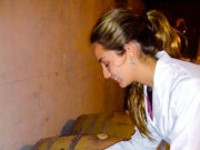 Una APP móvil para bodegas podría salvar la calidad de vino